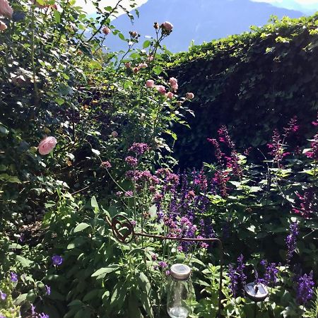 "Natur Pur" Ferienwohnung Mit Eigener Sauna Rons Exterior foto